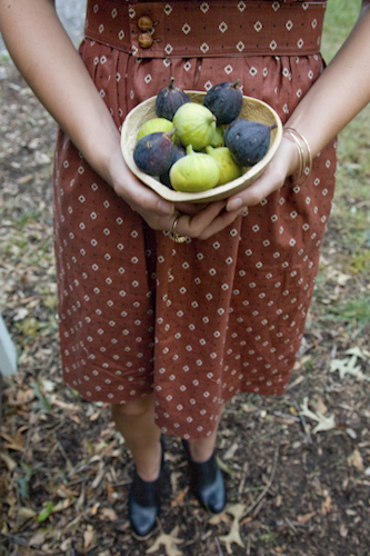 lucy, with figs