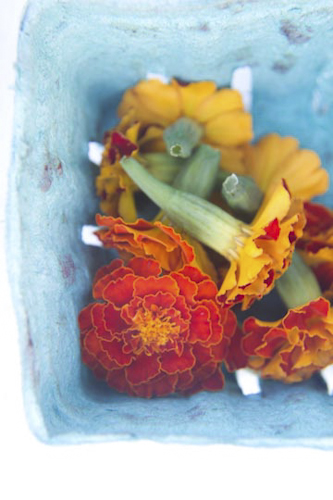 marigolds