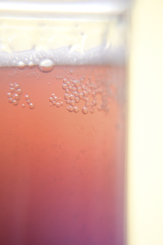 fizzy