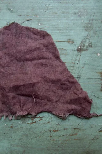 mulberry dye