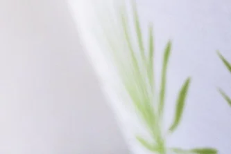 hable palm