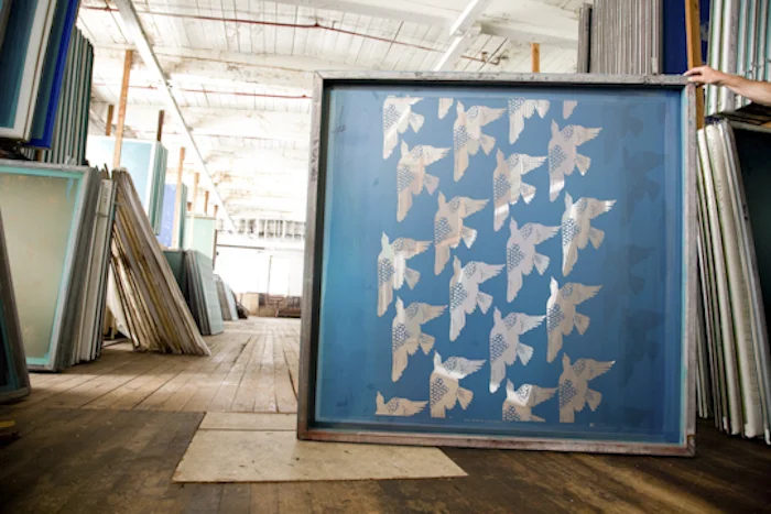 hable birds, screen