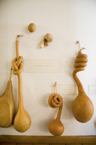 collected gourds