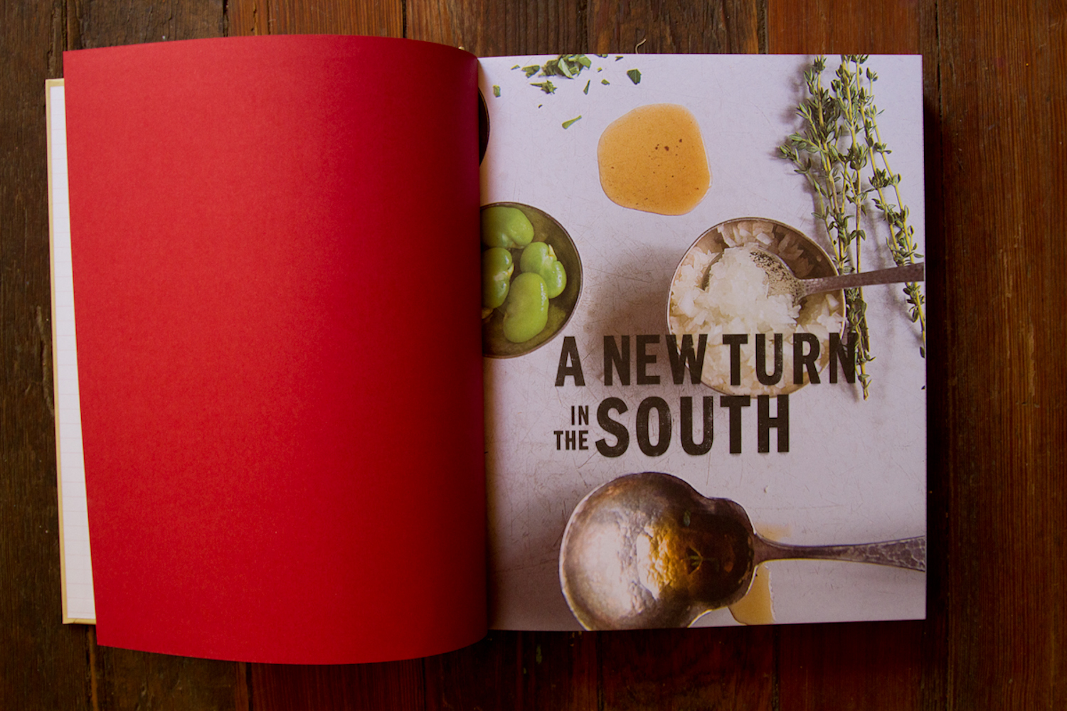 a_new_turn_in_the_south-0004.jpg