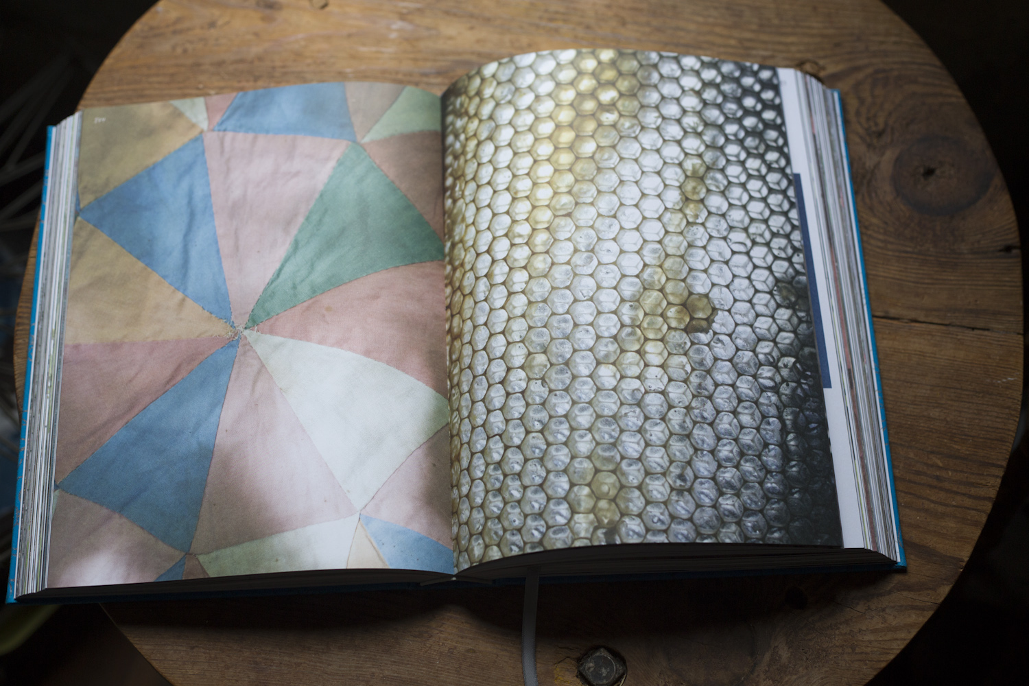 beauty_everyday_book_horizontals-2367.jpg