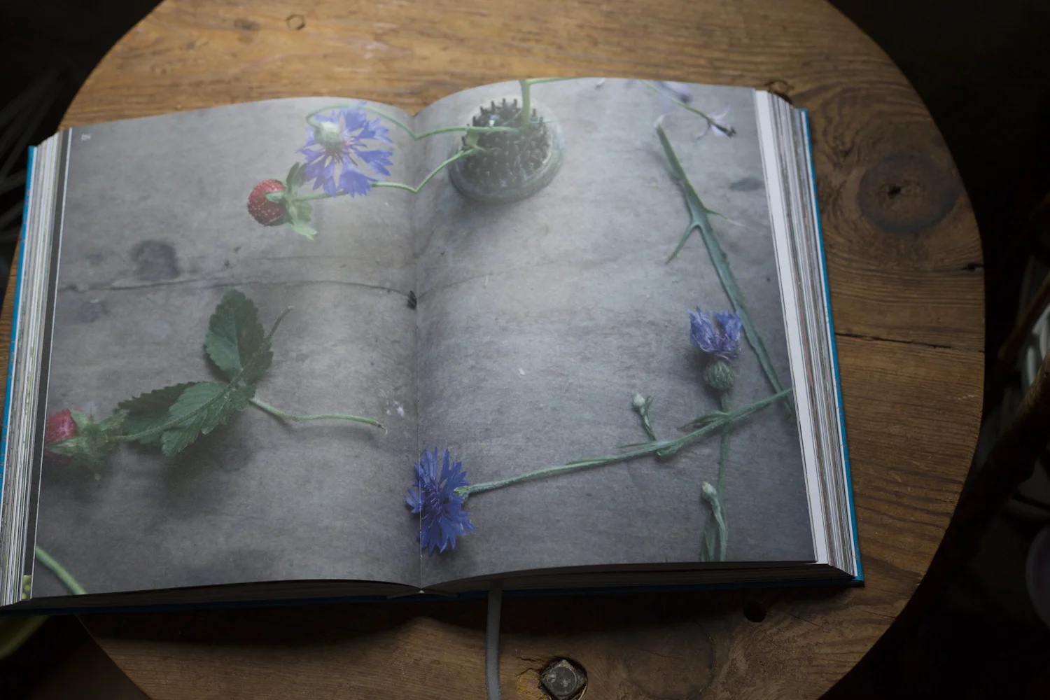 beauty_everyday_book_horizontals-2368.jpg