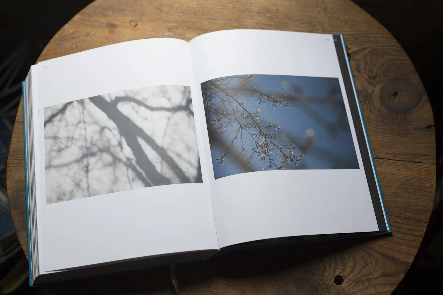 beauty_everyday_book_horizontals-2371.jpg