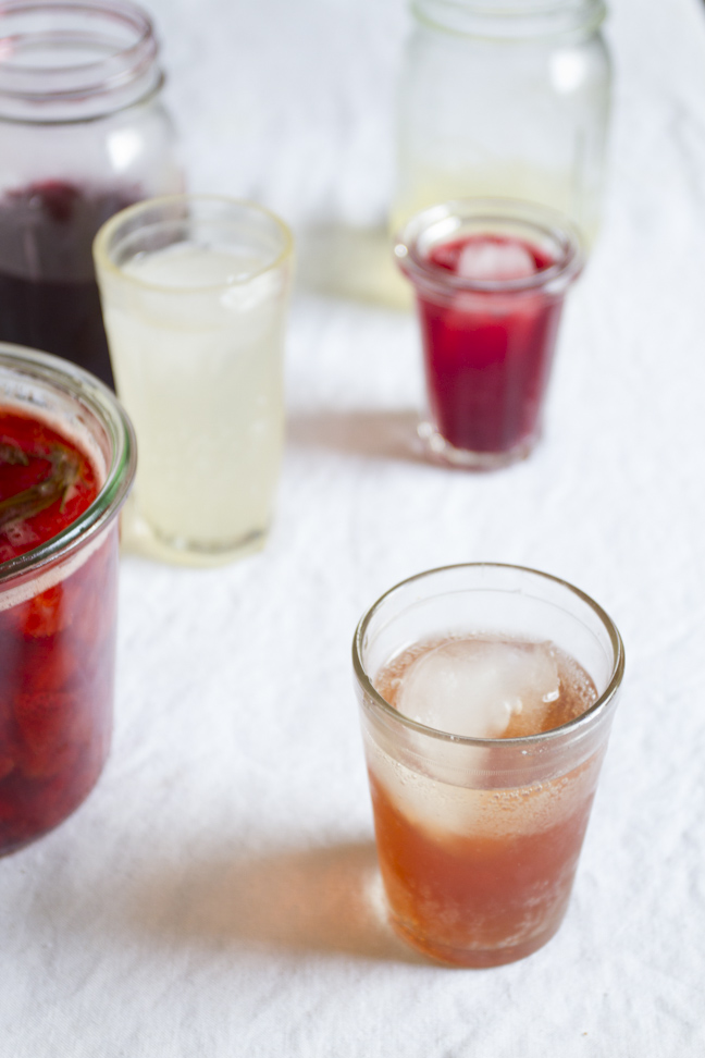 drinking_vinegars-0195.jpg