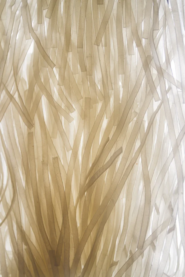 pantry_rice_noodles-2.jpg