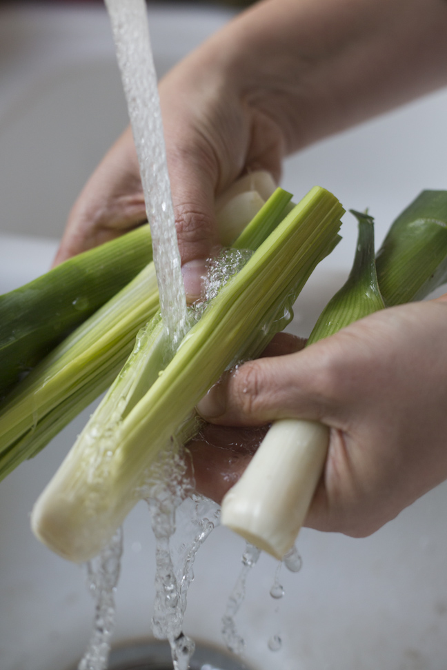 process_leeks-0422.jpg