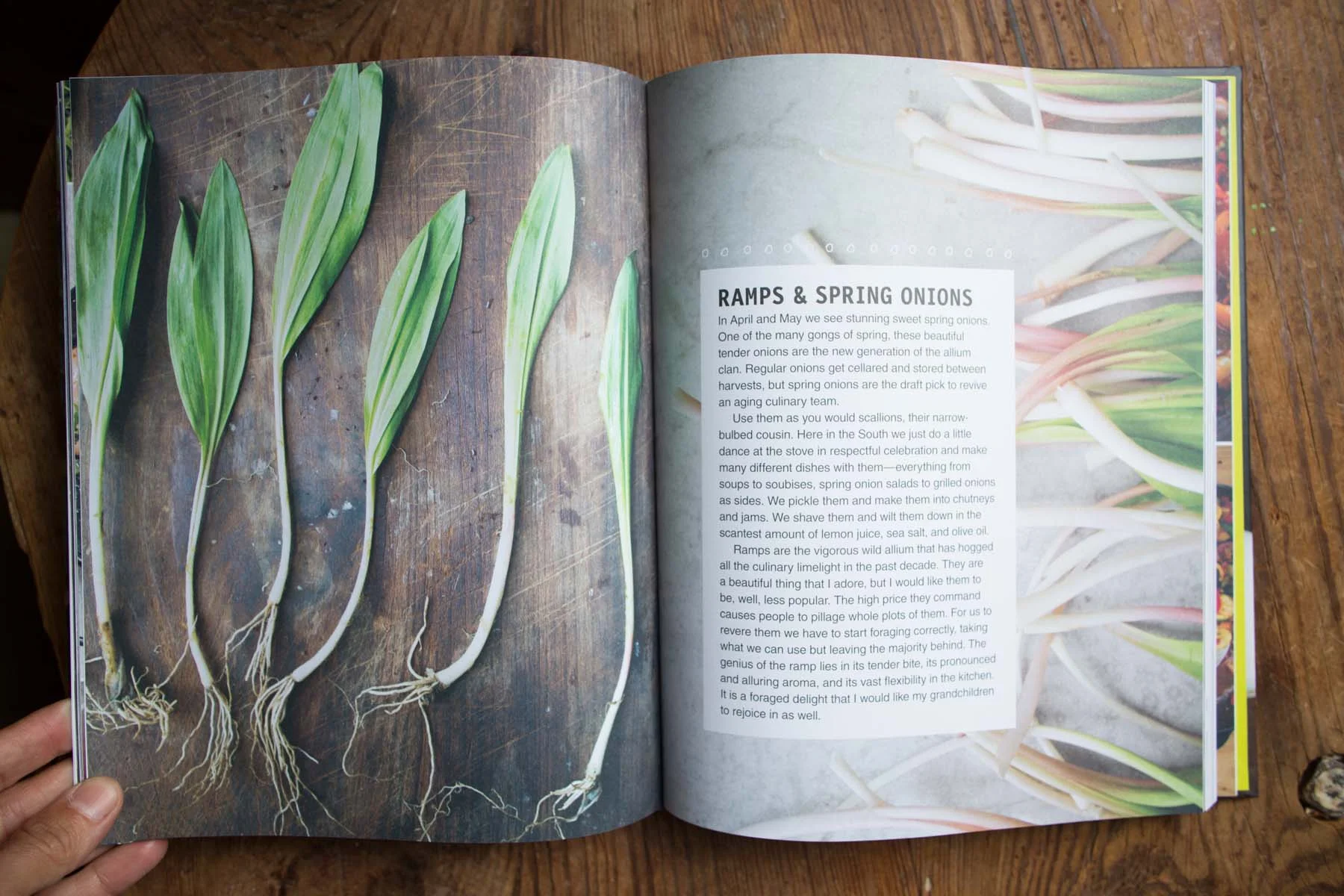 hugh_the broad fork-201506292109.jpg