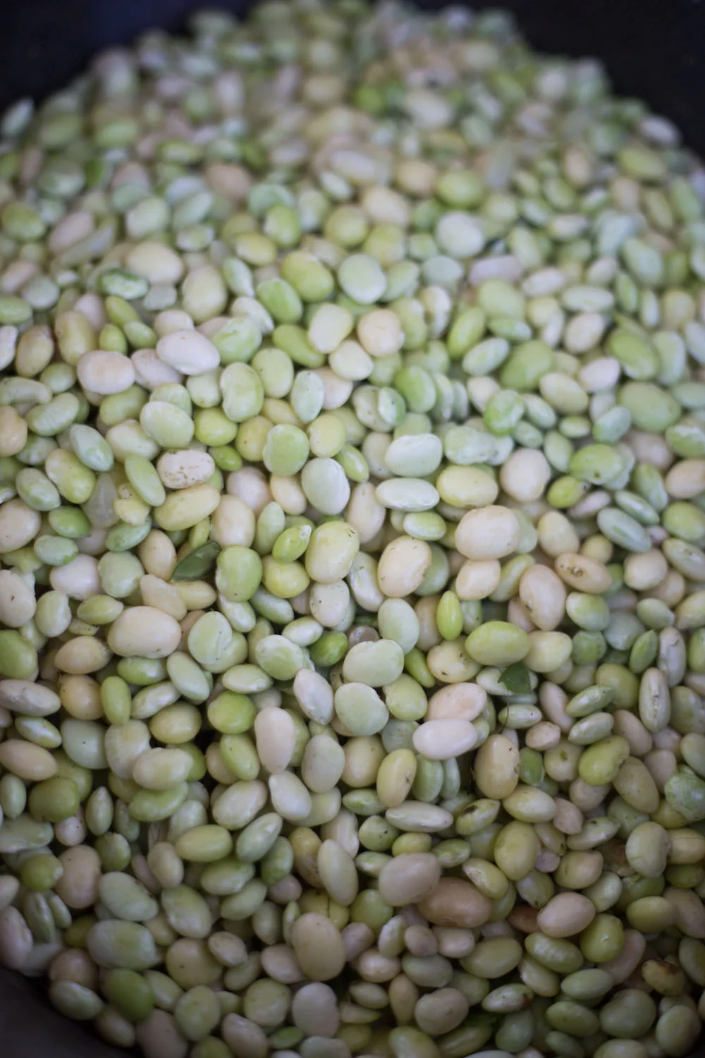 fall_pea shelling_homemade-8783.jpg