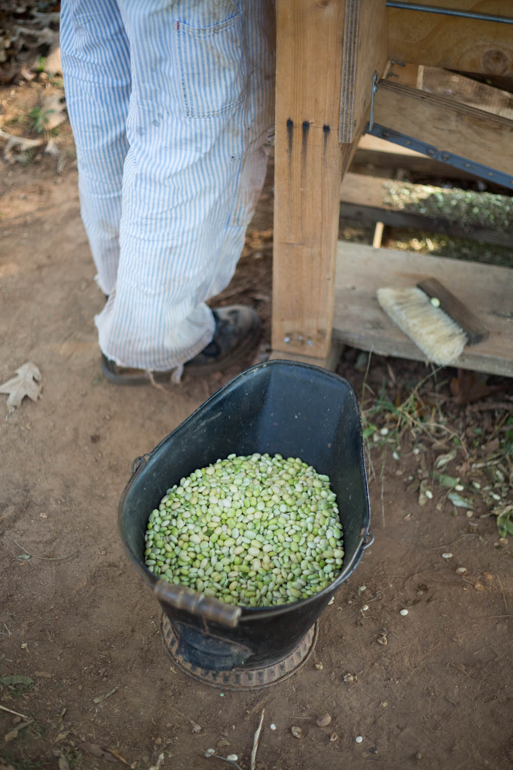 fall_pea shelling_homemade-8772.jpg