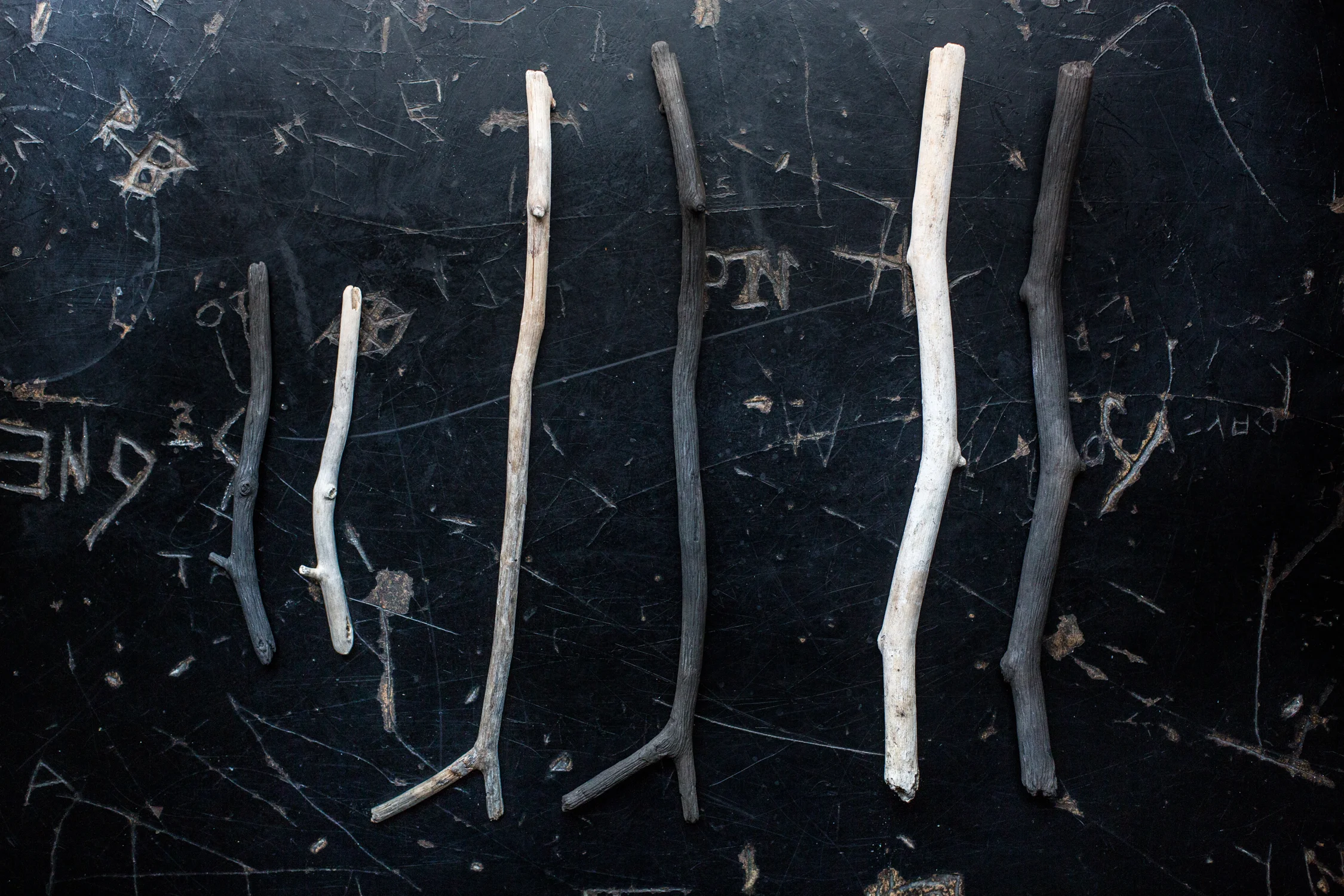 harvest_katie murphy_porcelain-201511300903.jpg