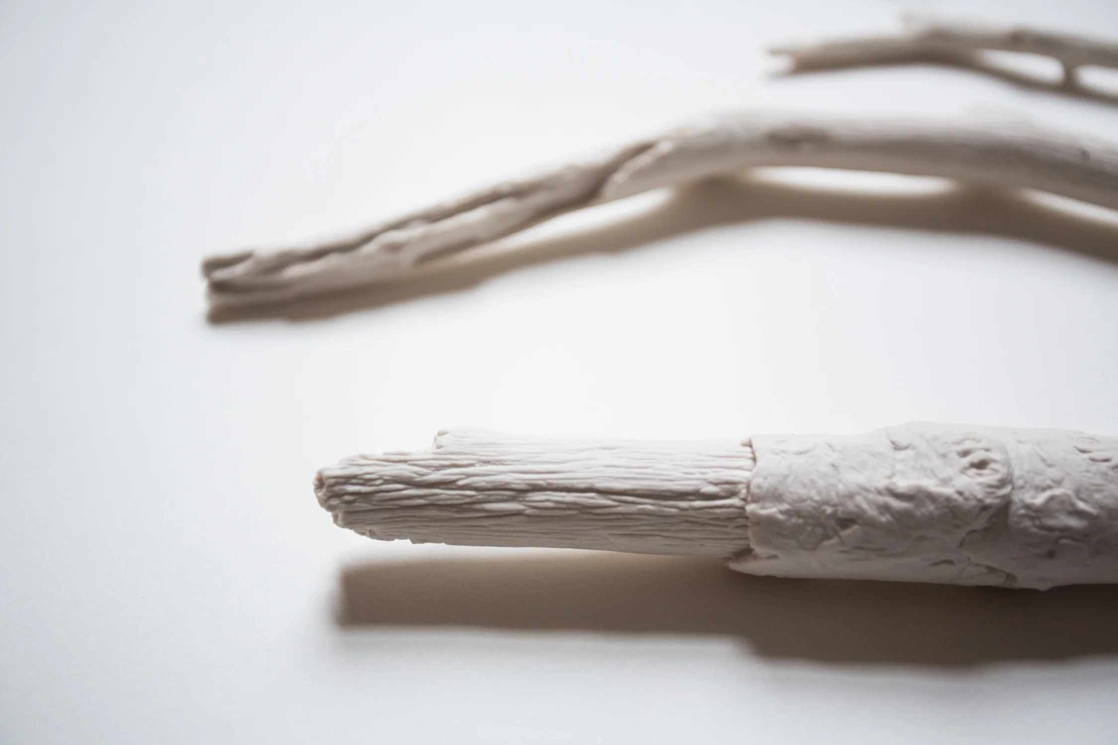 harvest_katie murphy_porcelain-201511301140.jpg