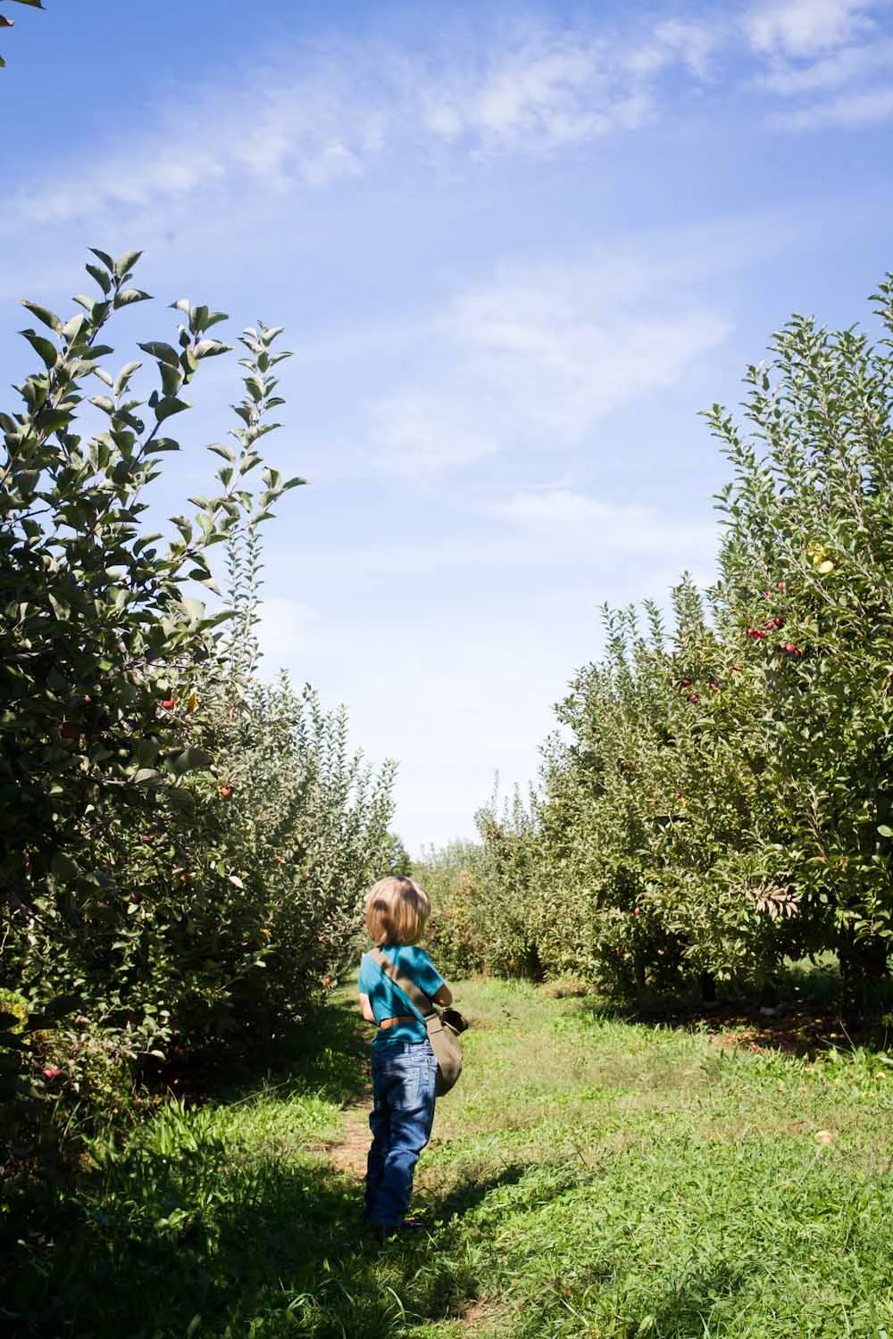 early fall_apples-5363.jpg