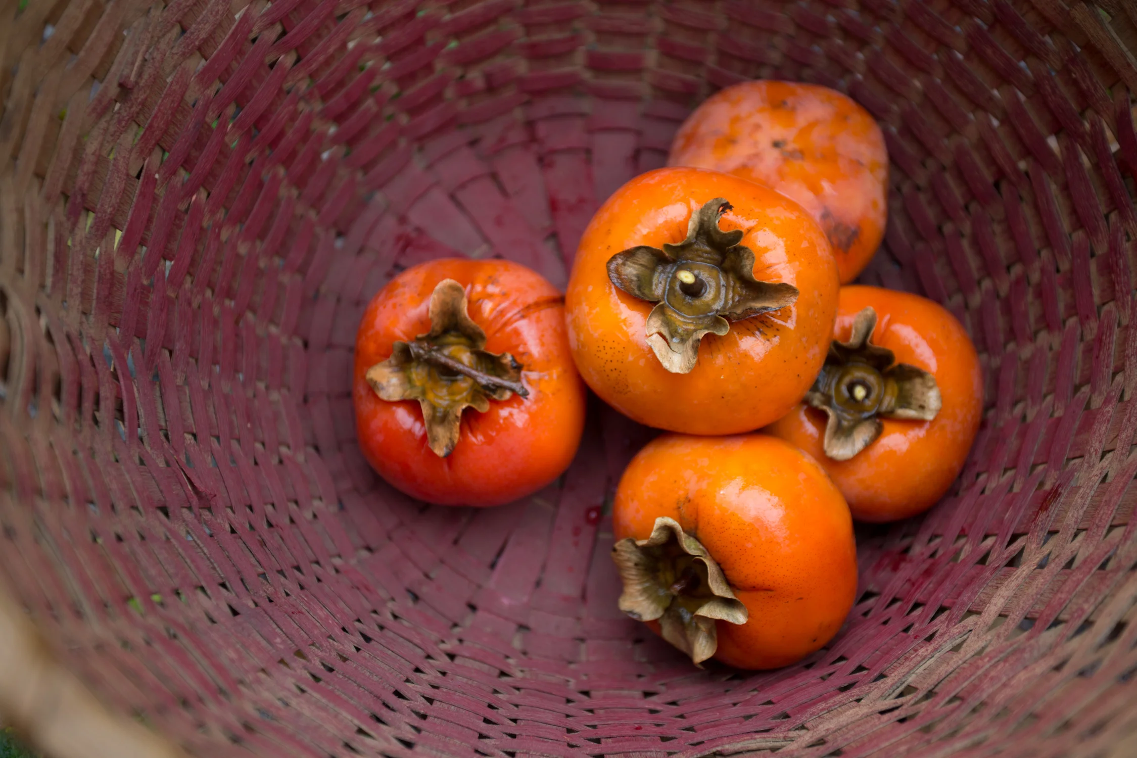 fall_persimmon_poptarts-5072.jpg