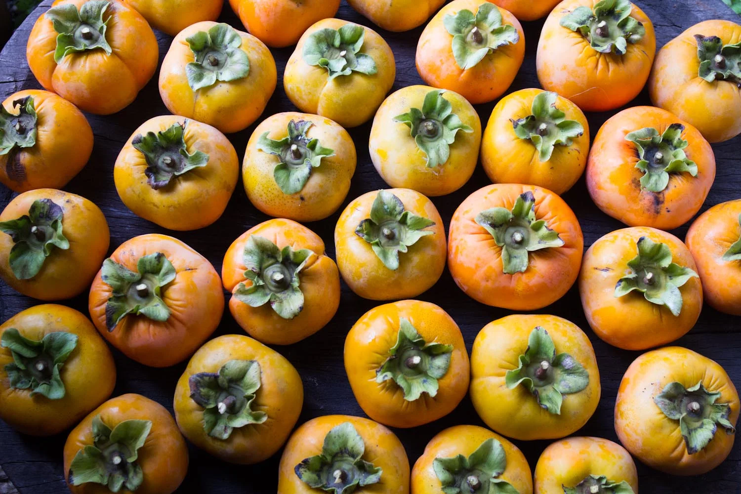 fall_persimmons_poptarts-7016.jpg