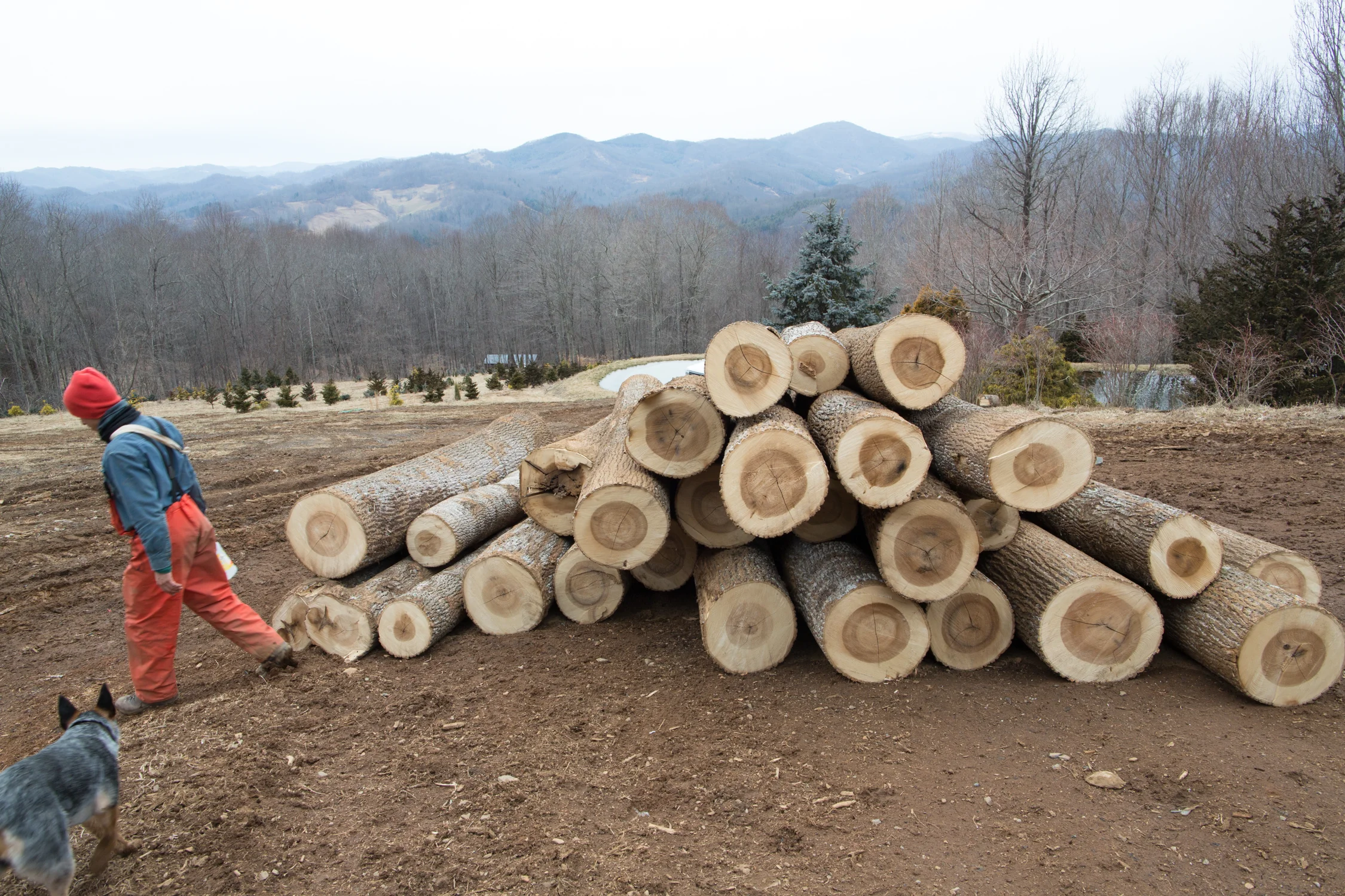 february_maple_syrup_NC-201502019289.jpg