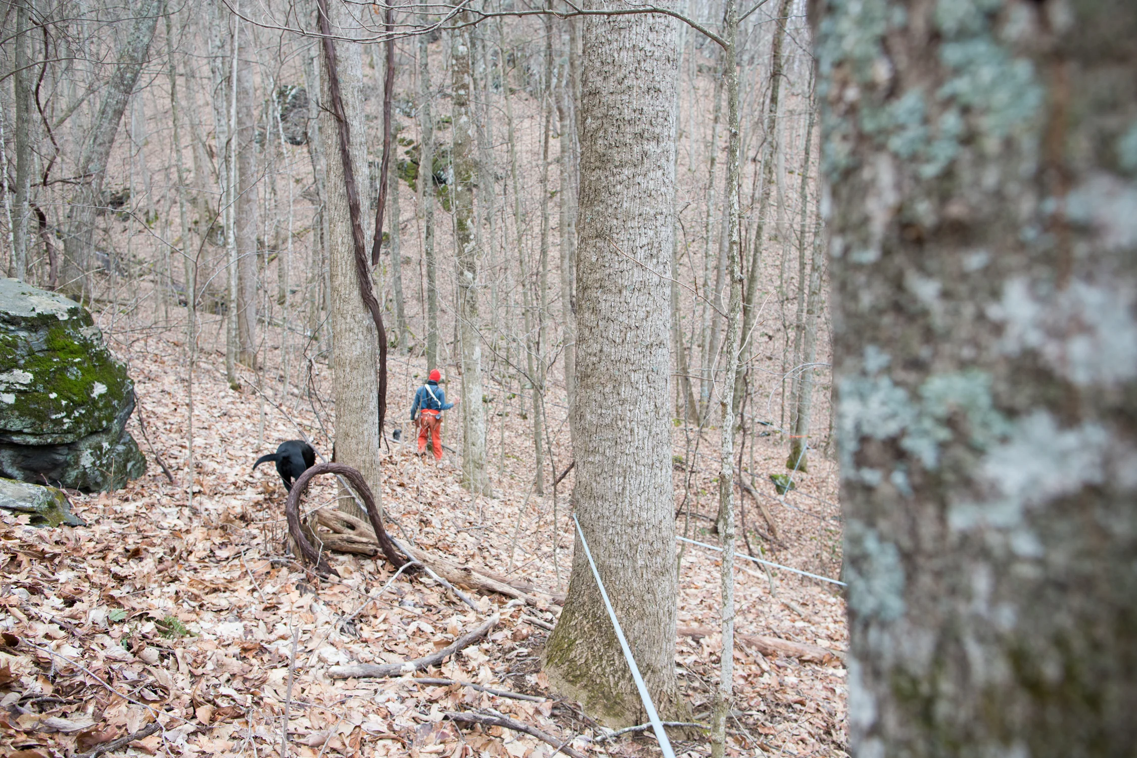 february_maple_syrup_NC-201502019308.jpg