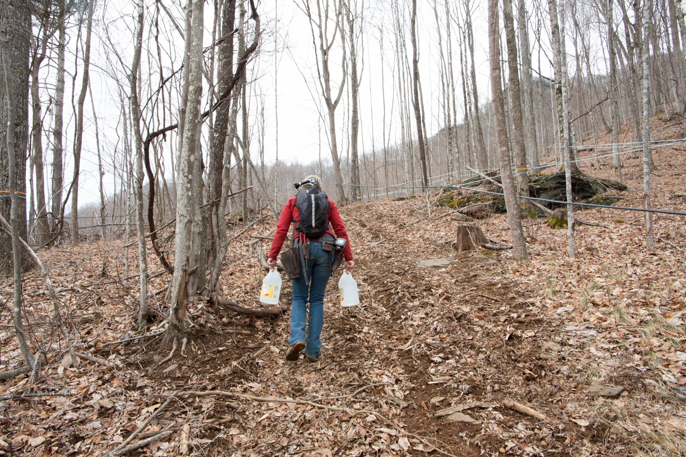 february_maple_syrup_NC-201502019357.jpg