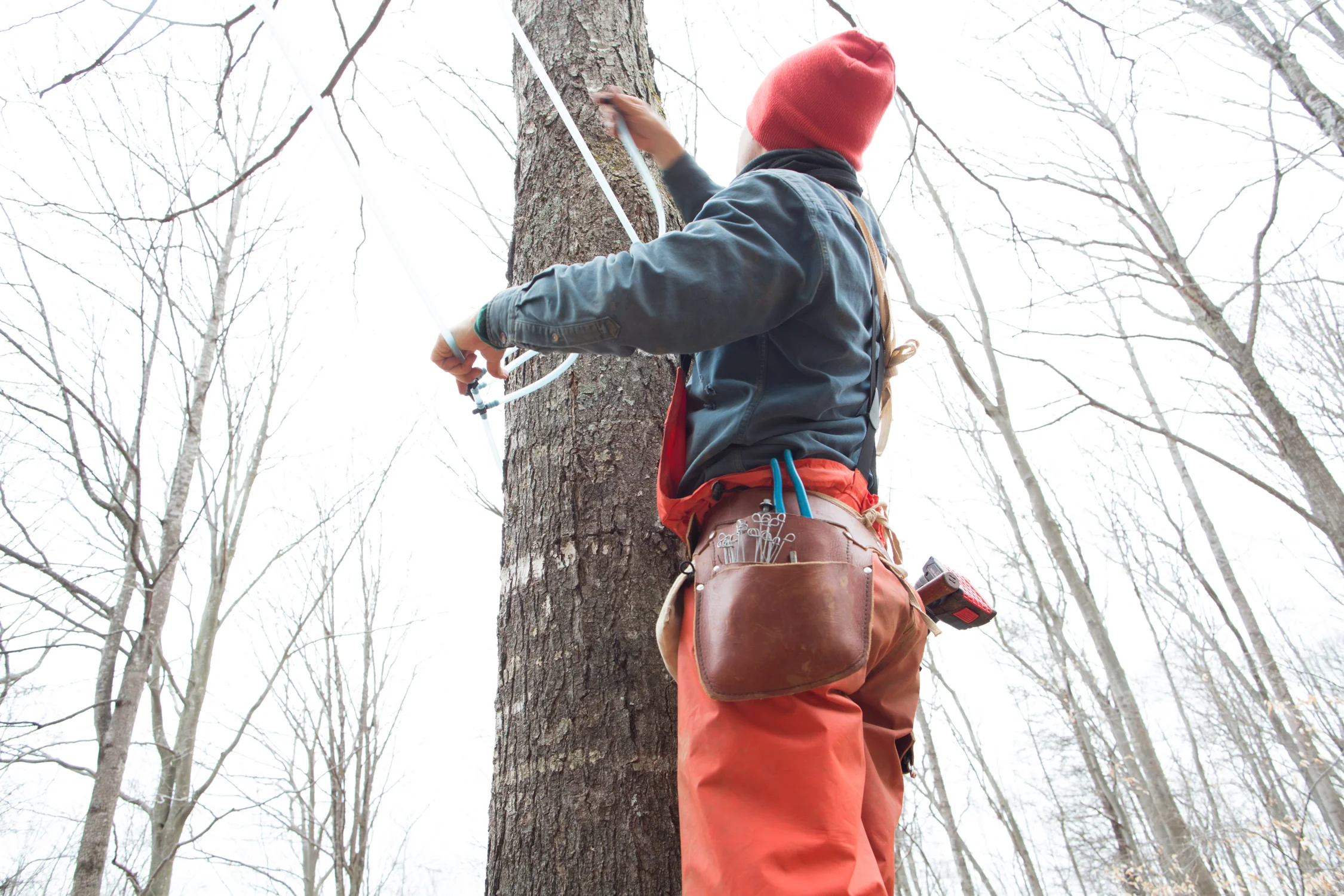february_maple_syrup_NC-201502019472.jpg