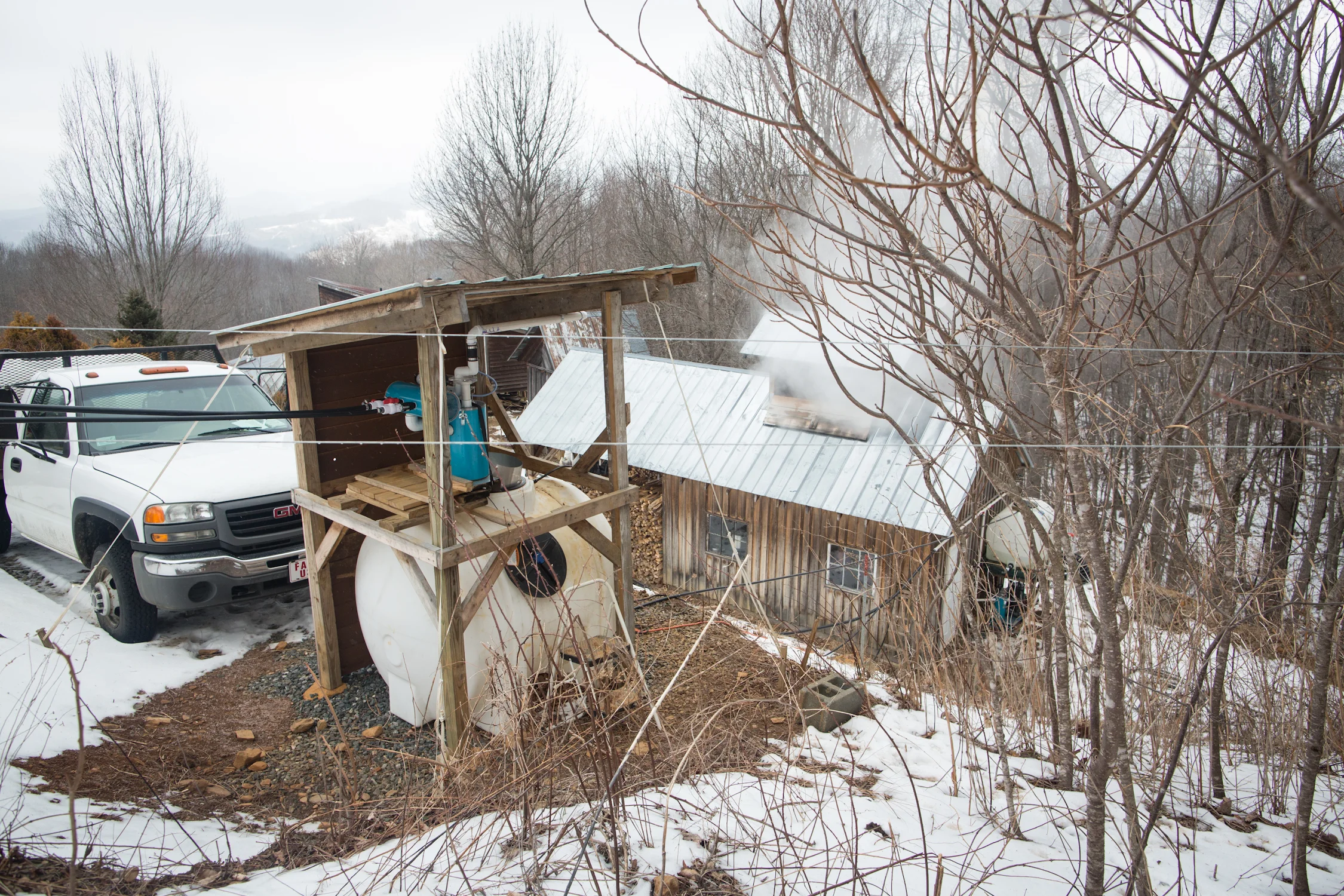 harvest_maple syrup_NC-0881.jpg