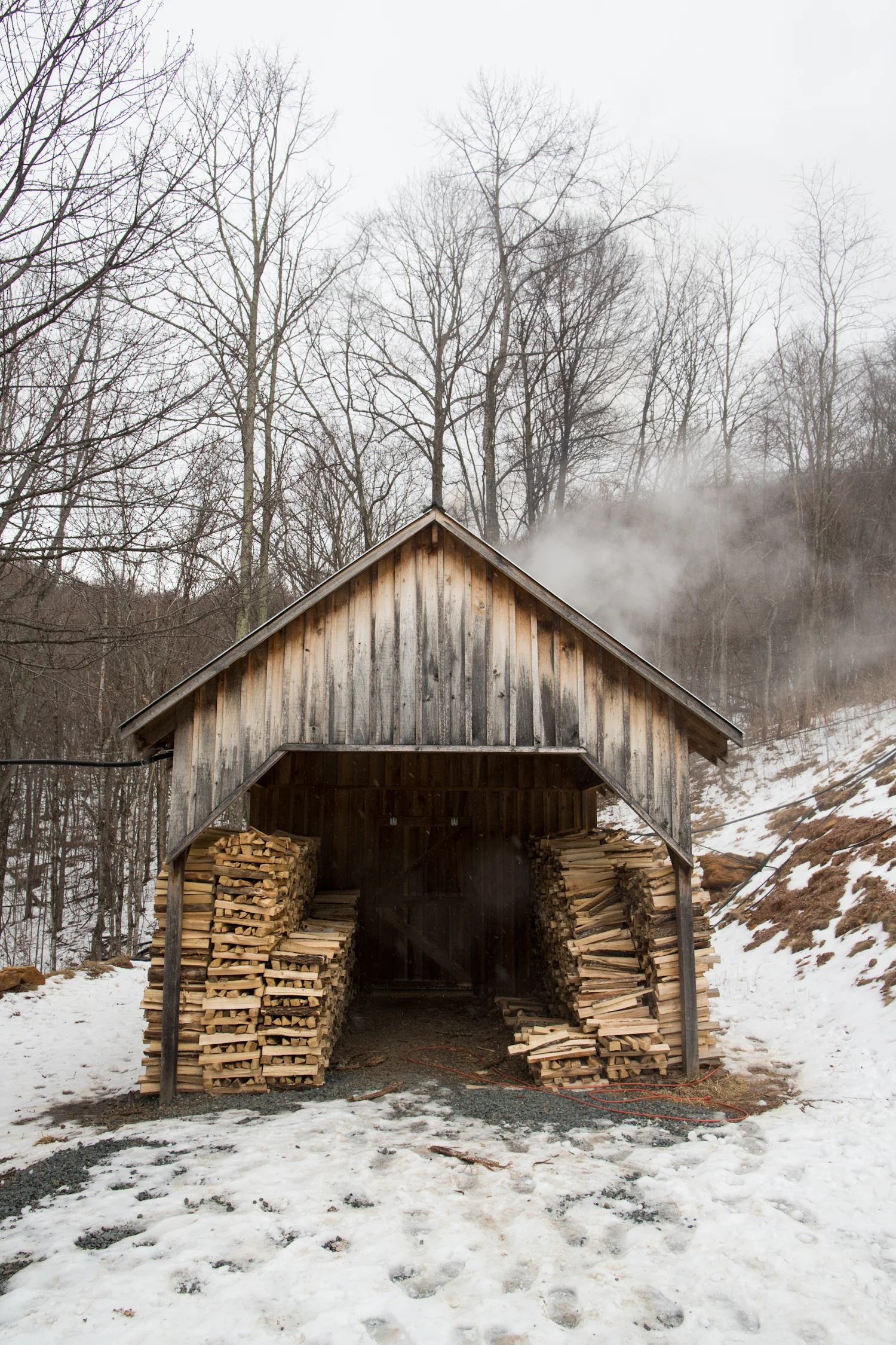 harvest_maple syrup_NC-0894.jpg