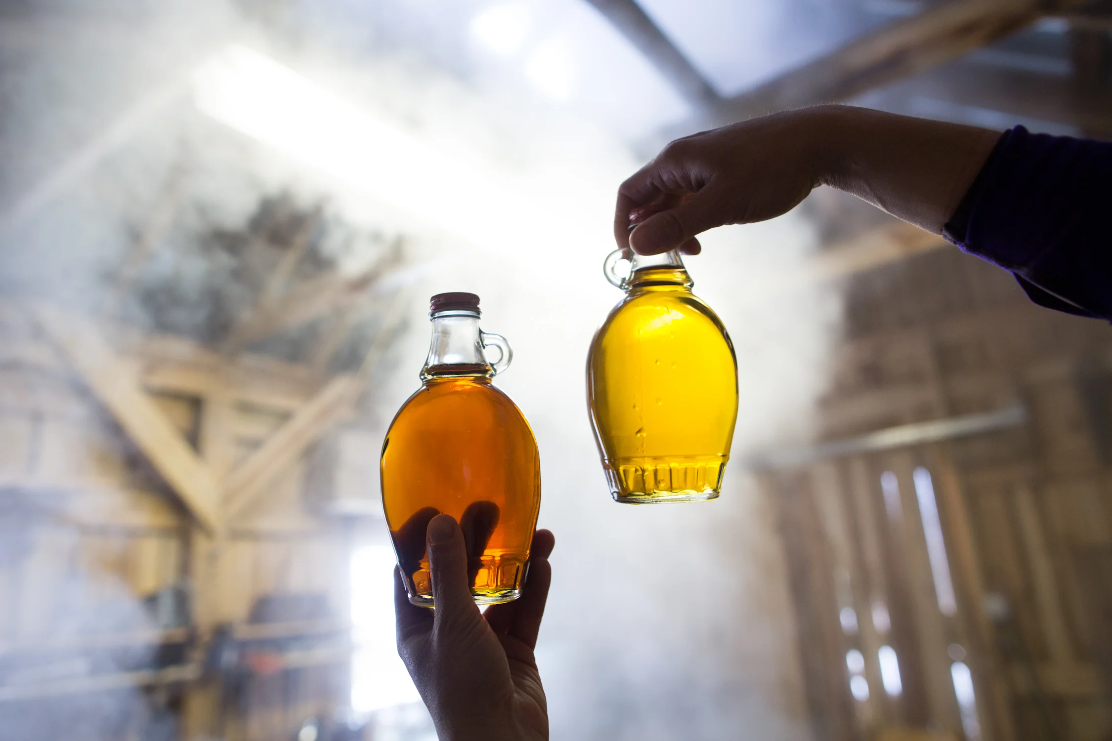 harvest_maple syrup_NC-1007.jpg