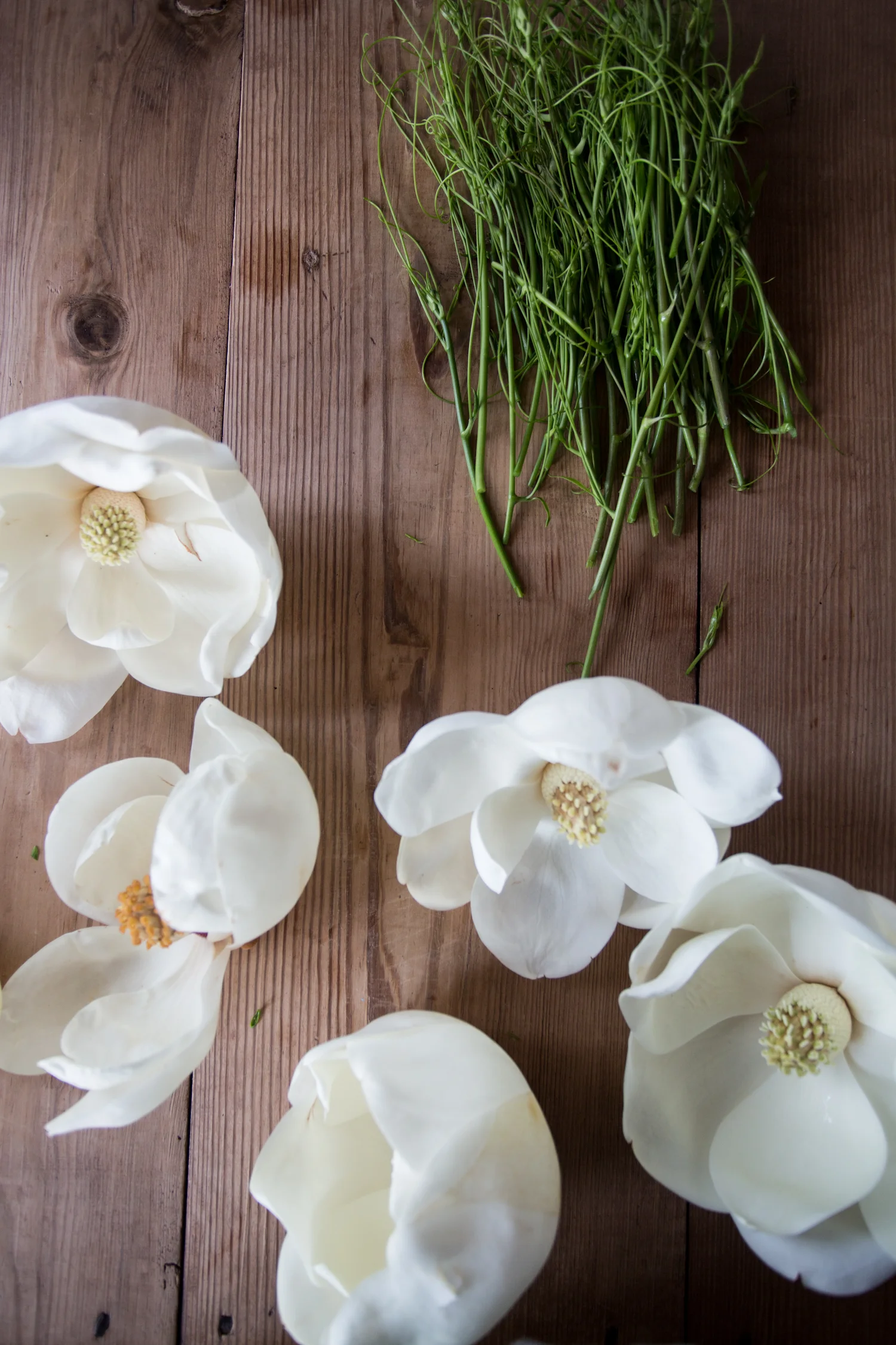 pickled magnolia blossoms-9519.jpg