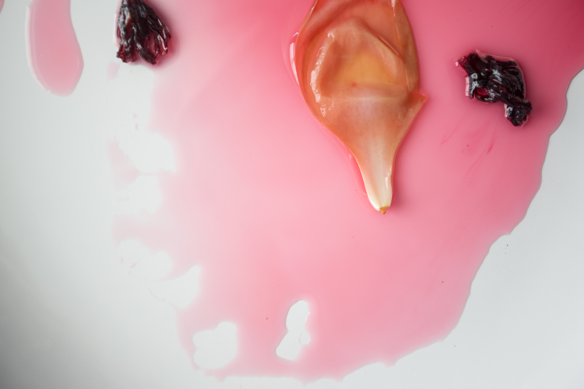 pickled magnolia-0012.jpg