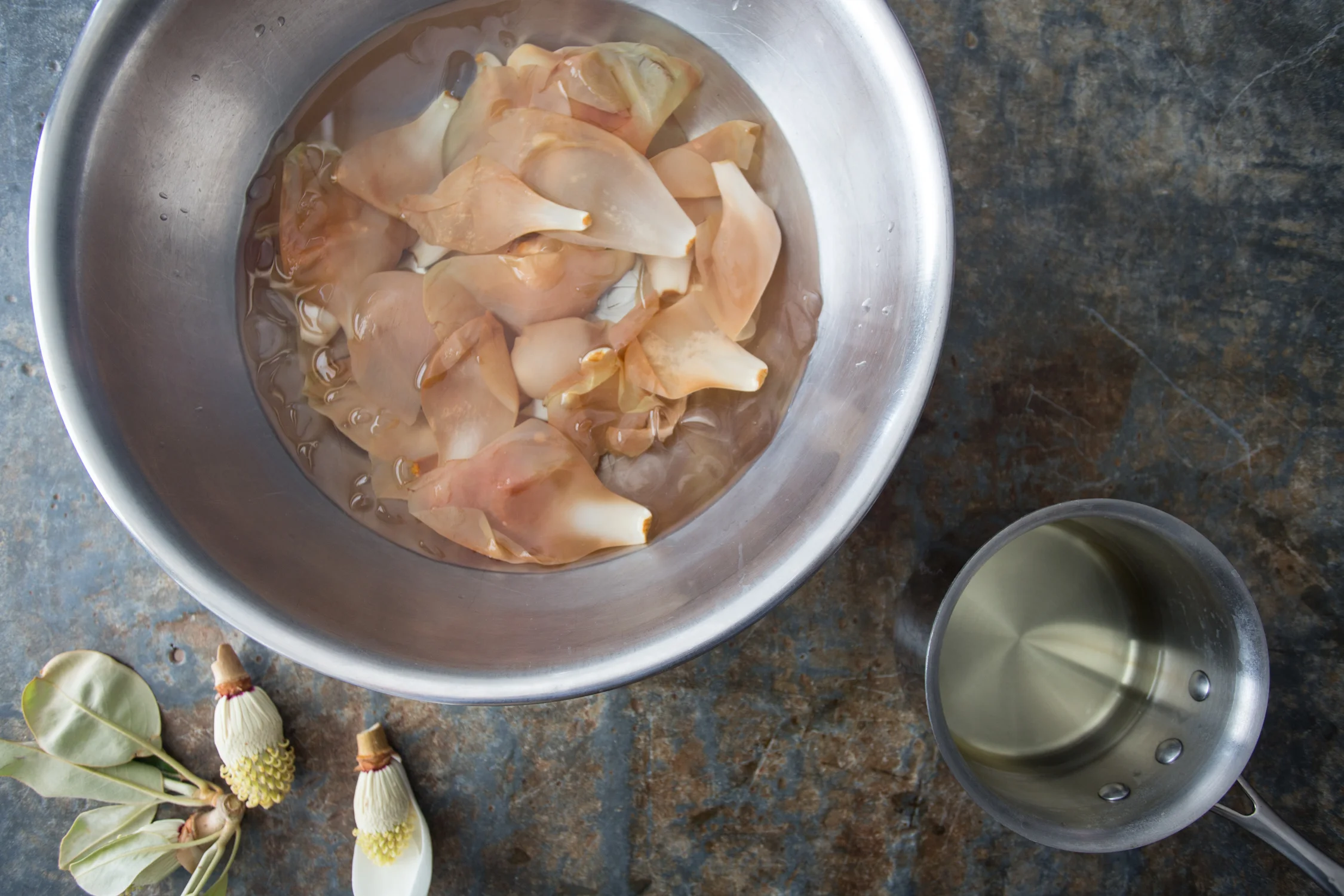 pickled magnolia-9902.jpg