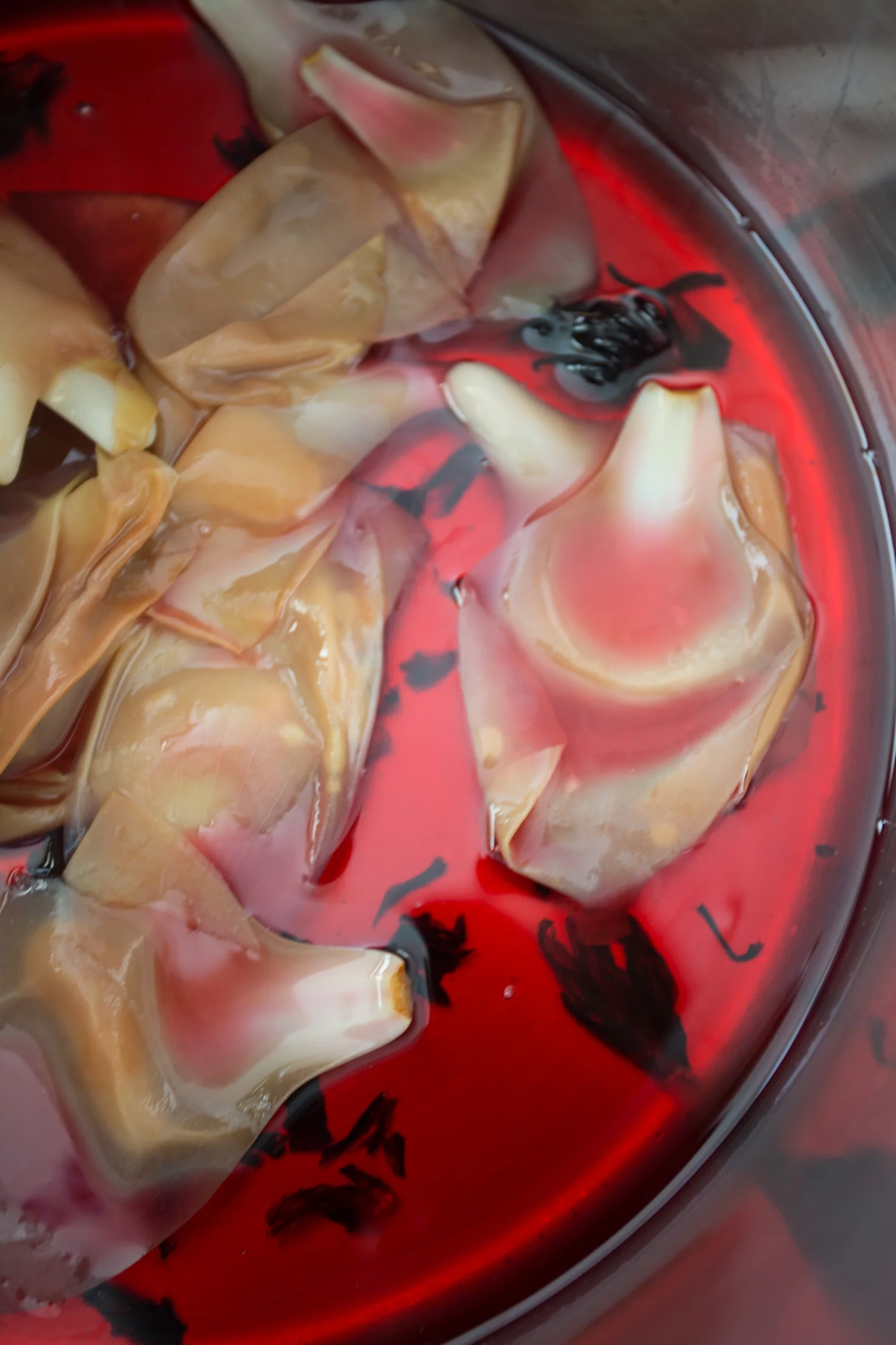 pickled magnolia-9979.jpg