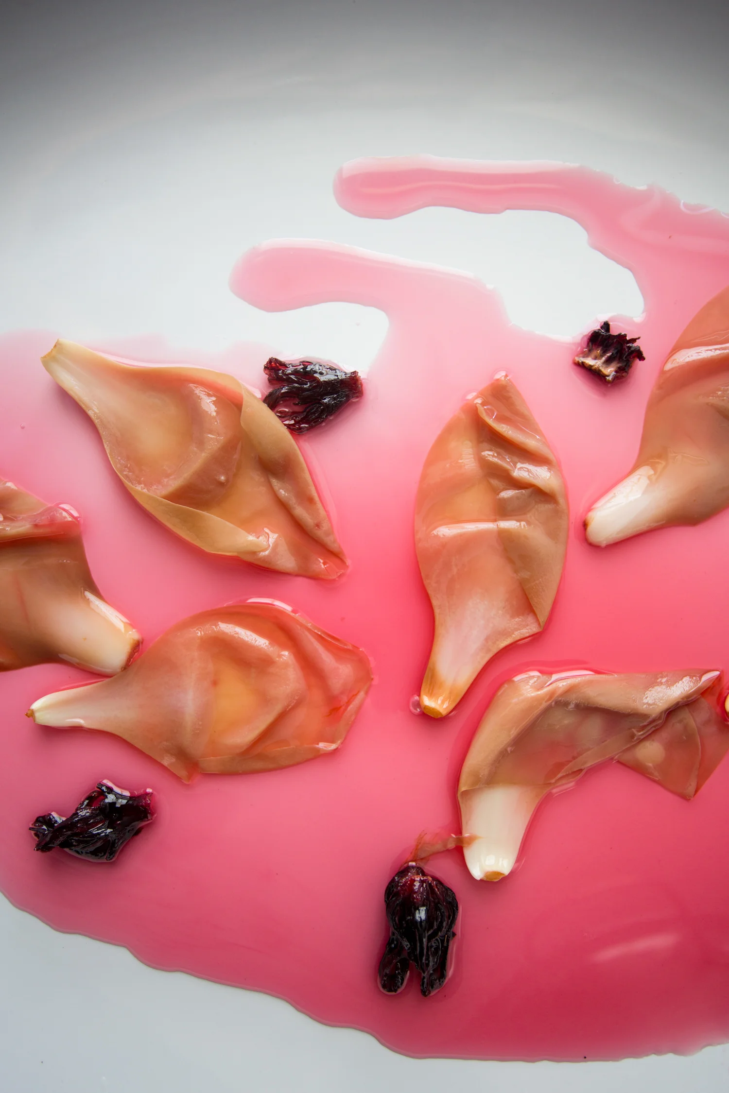 pickled magnolia-9995.jpg