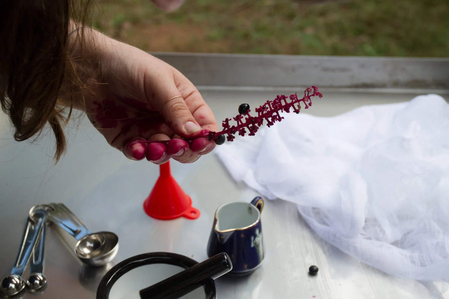 early fall_pokeberries_ink-5502.jpg
