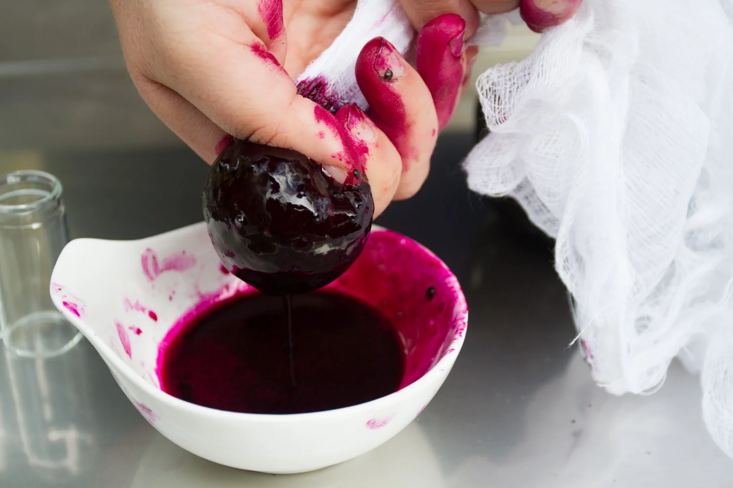 early fall_pokeberries_ink-5548.jpg