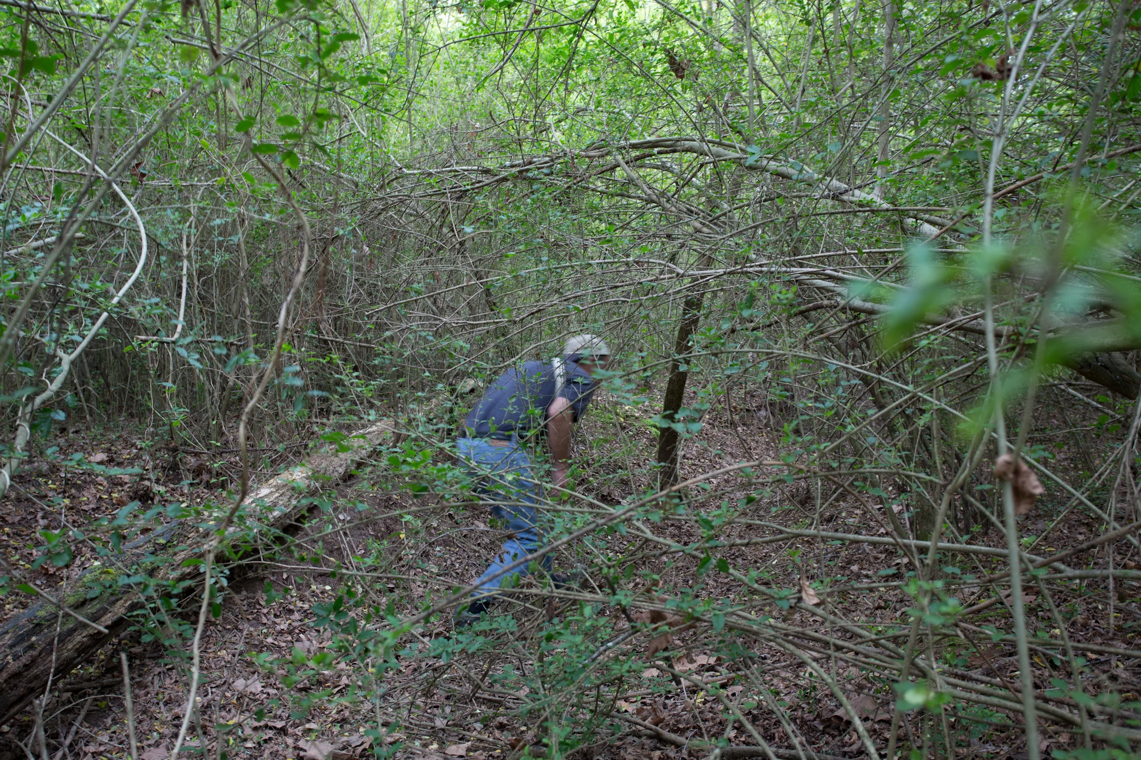 bob in woods-4296.jpg