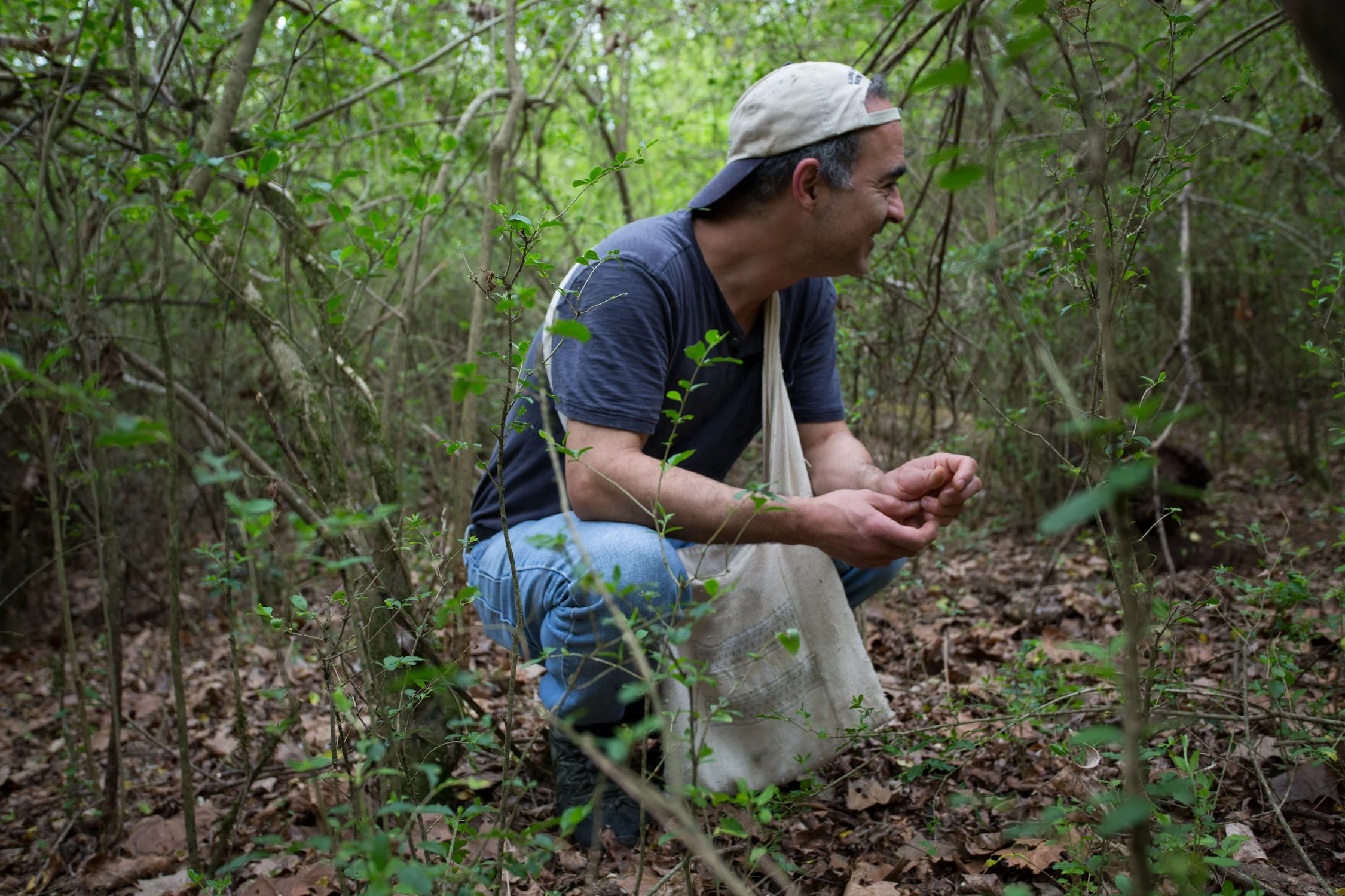 bob in woods-4342.jpg