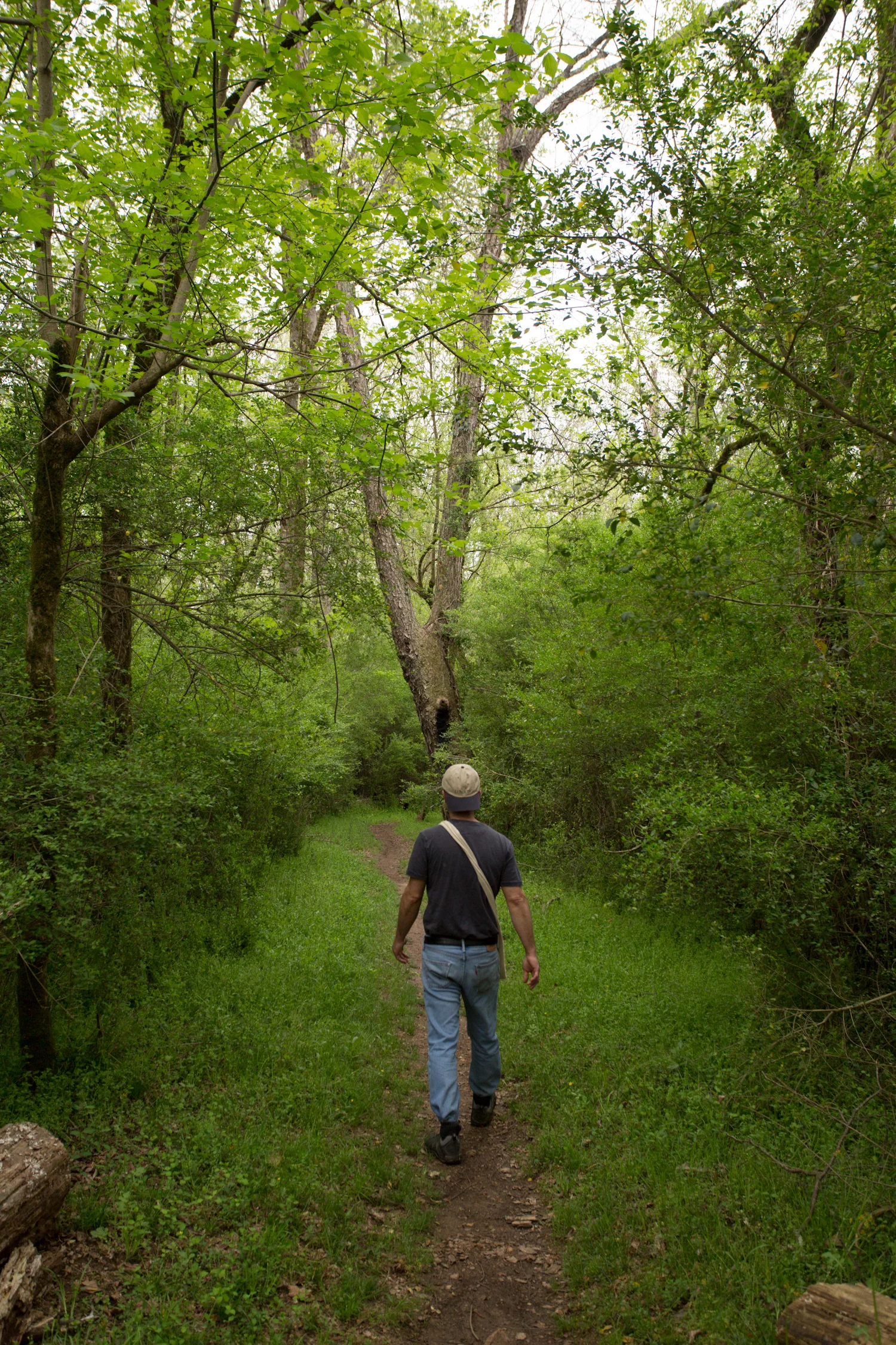 foraging_bob-4290.jpg