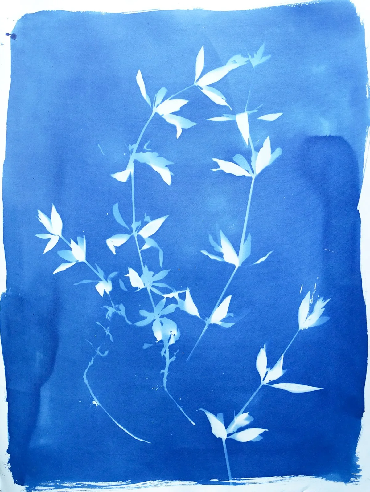 cyan_madder_22x30-09802.jpg