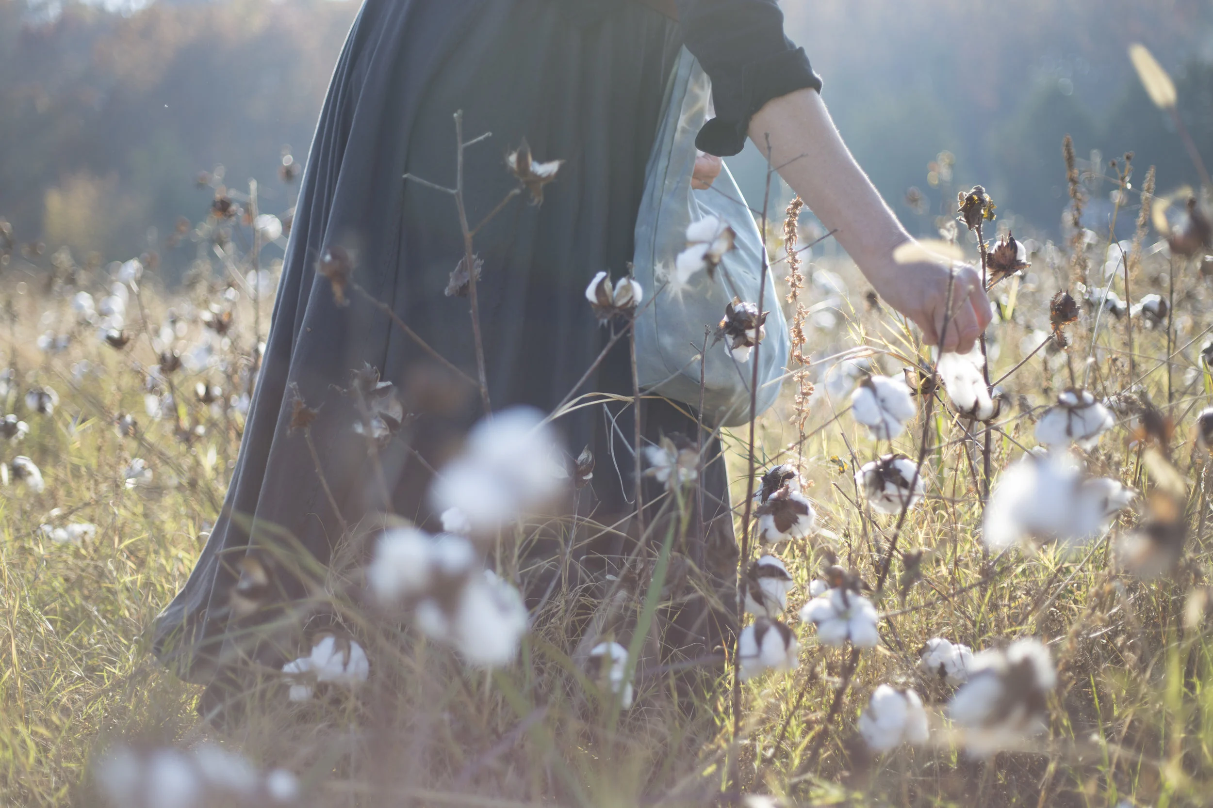 alabama cotton picking-0417.jpg