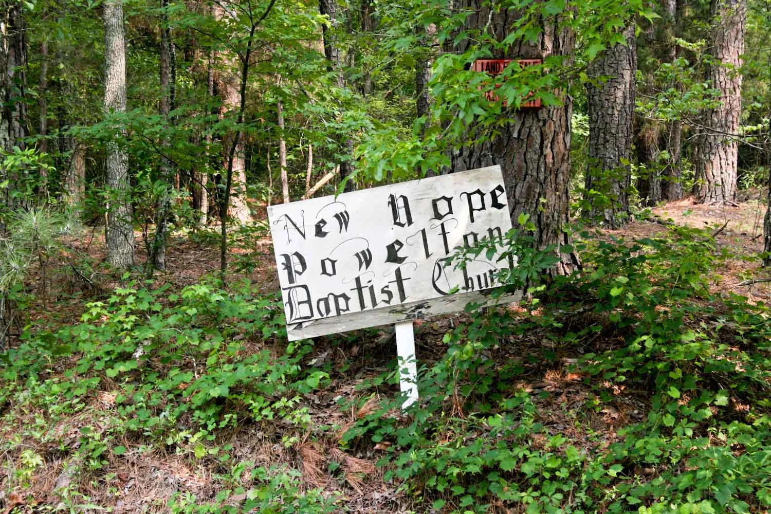 lettering-.jpg