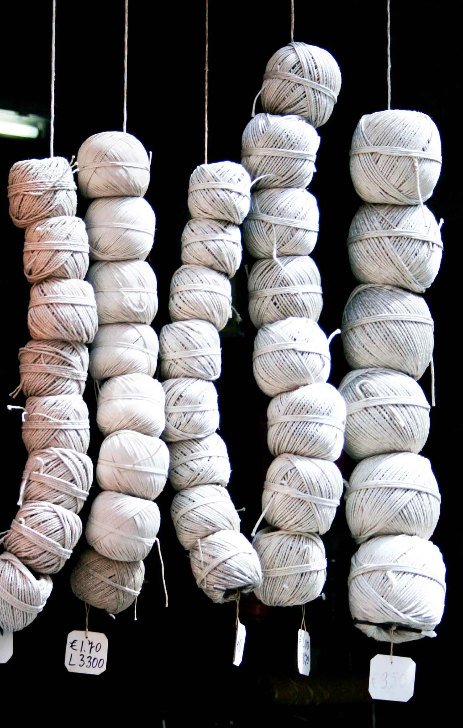 string roma-8254.jpg