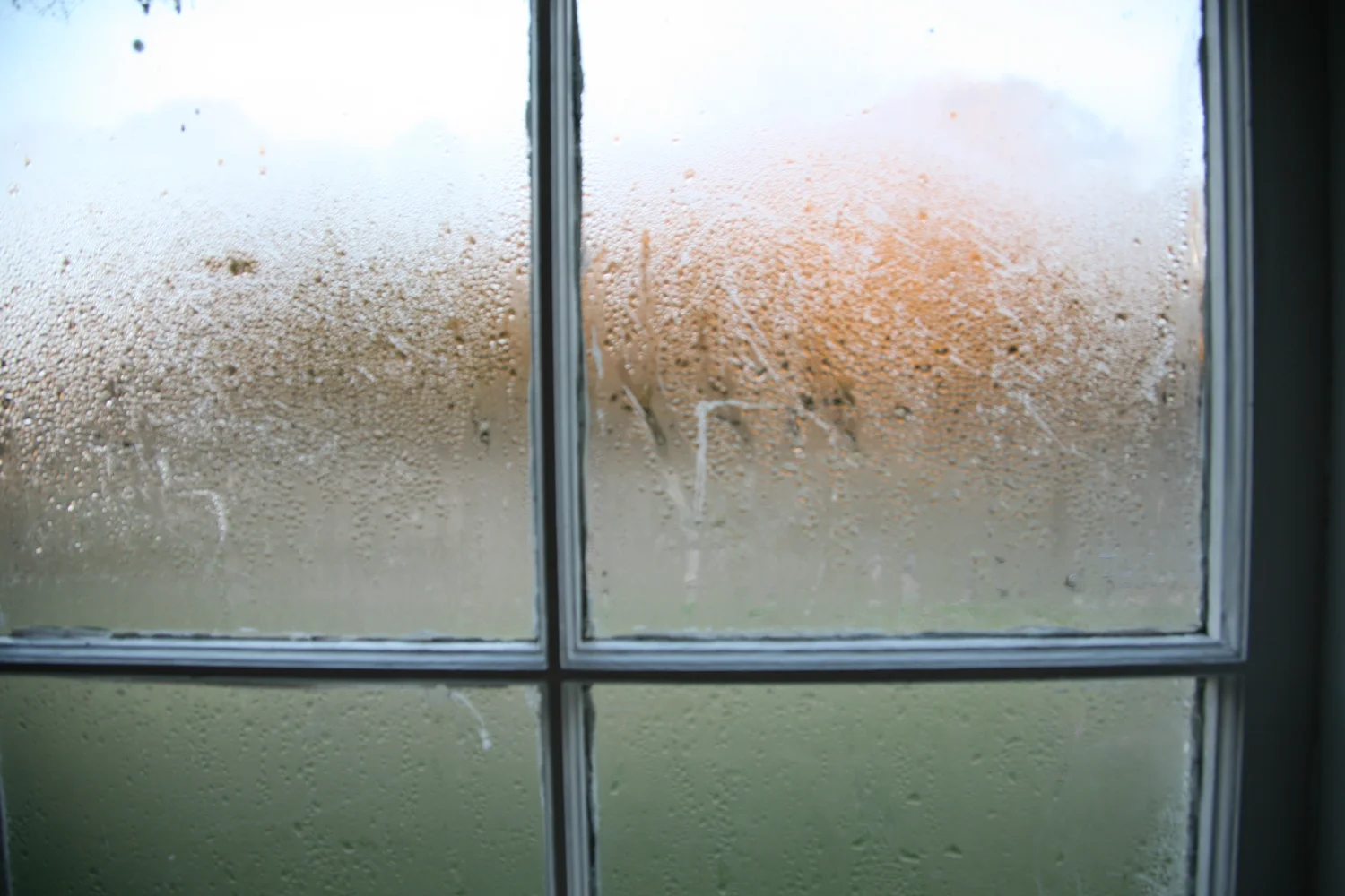window-3233.jpg