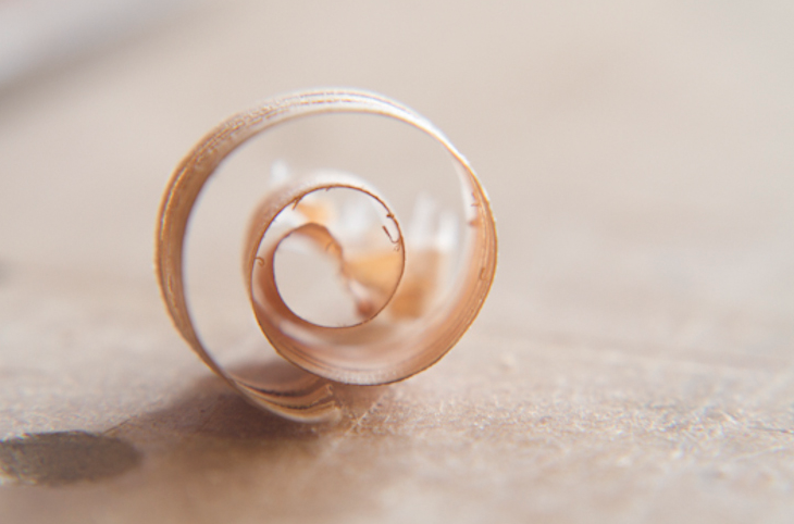 wood curl.png