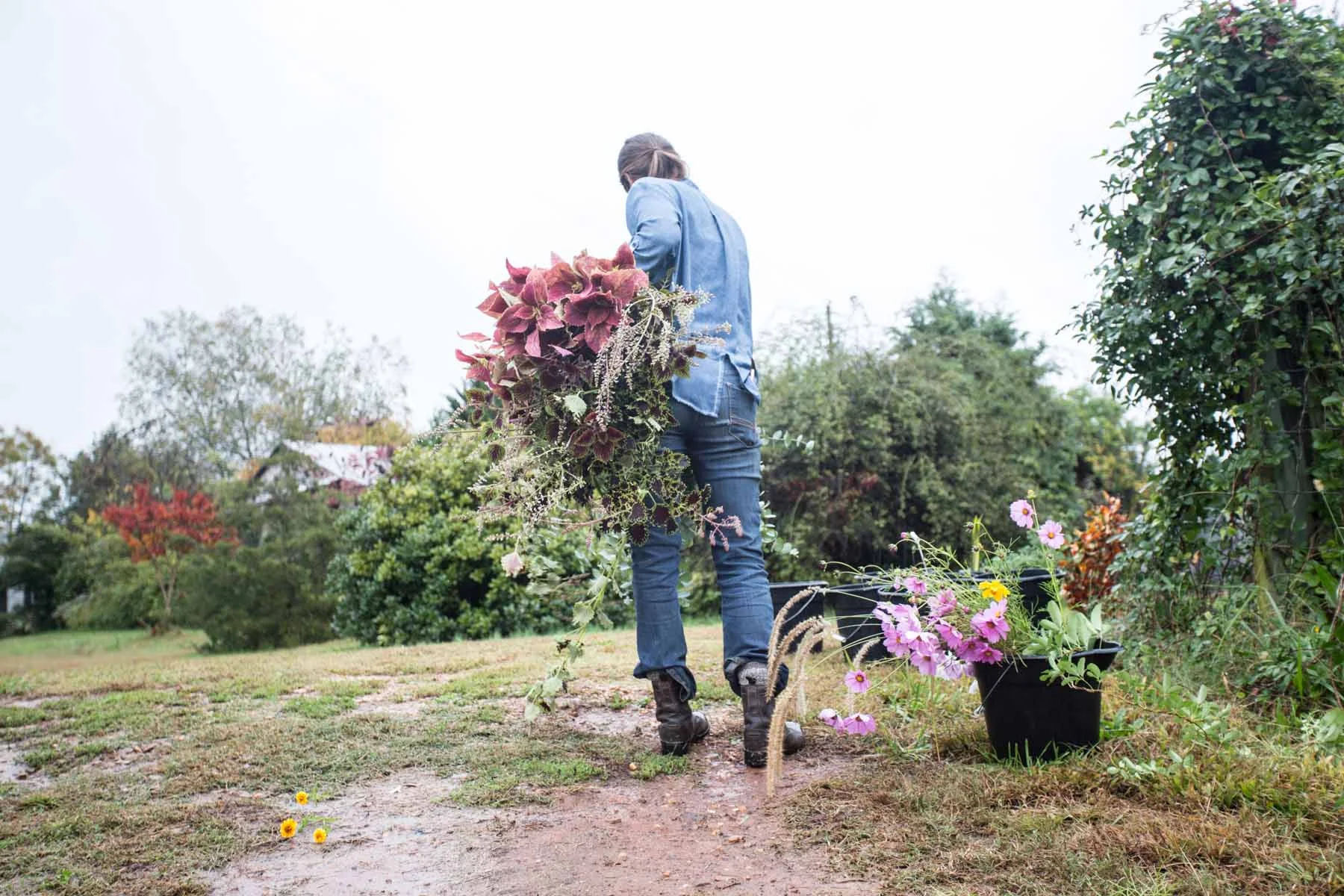 3 porch farm flower social-201510266077.jpg