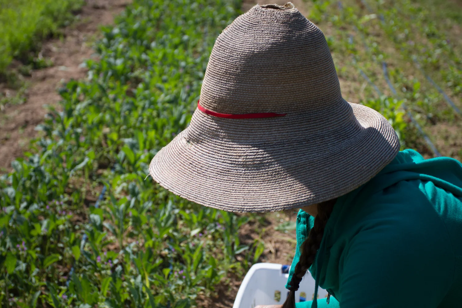 3_porch_farm-3657.jpg
