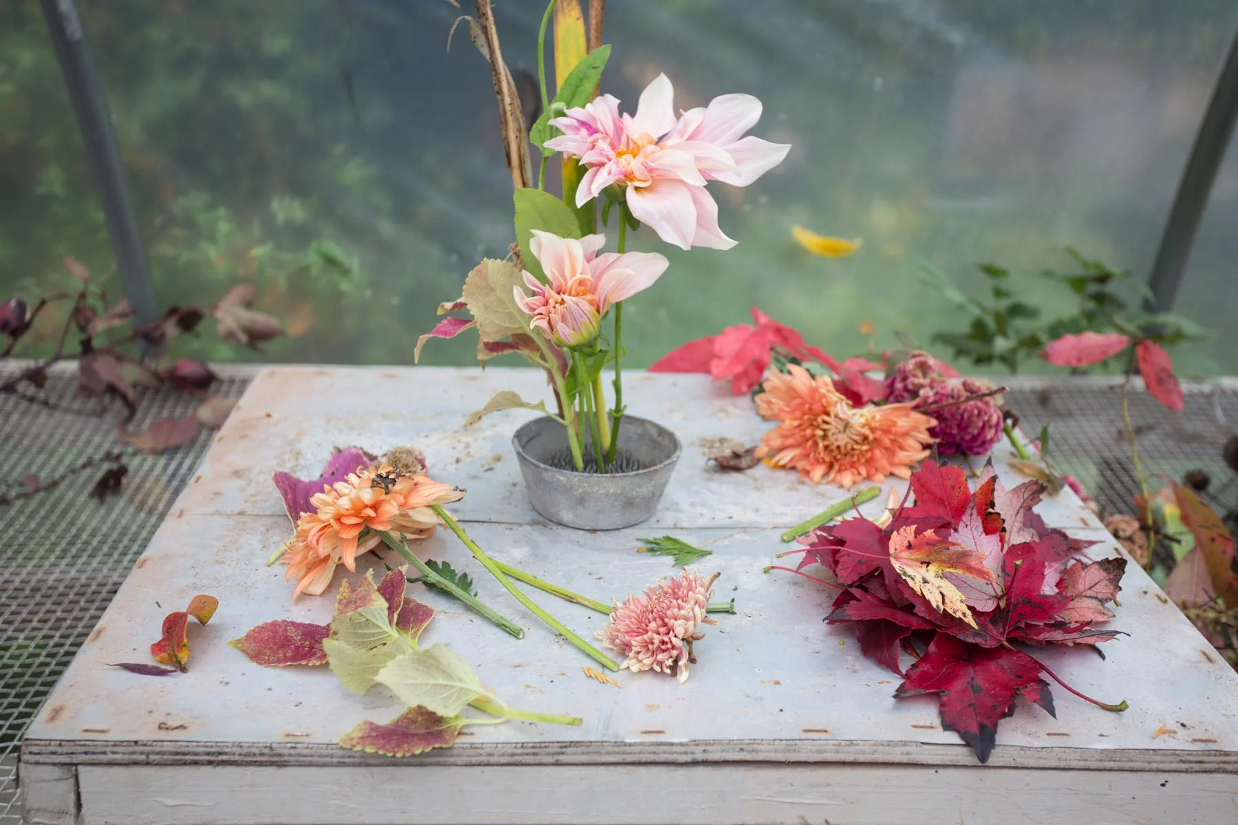 3 porch farm flower social-201510266231.jpg