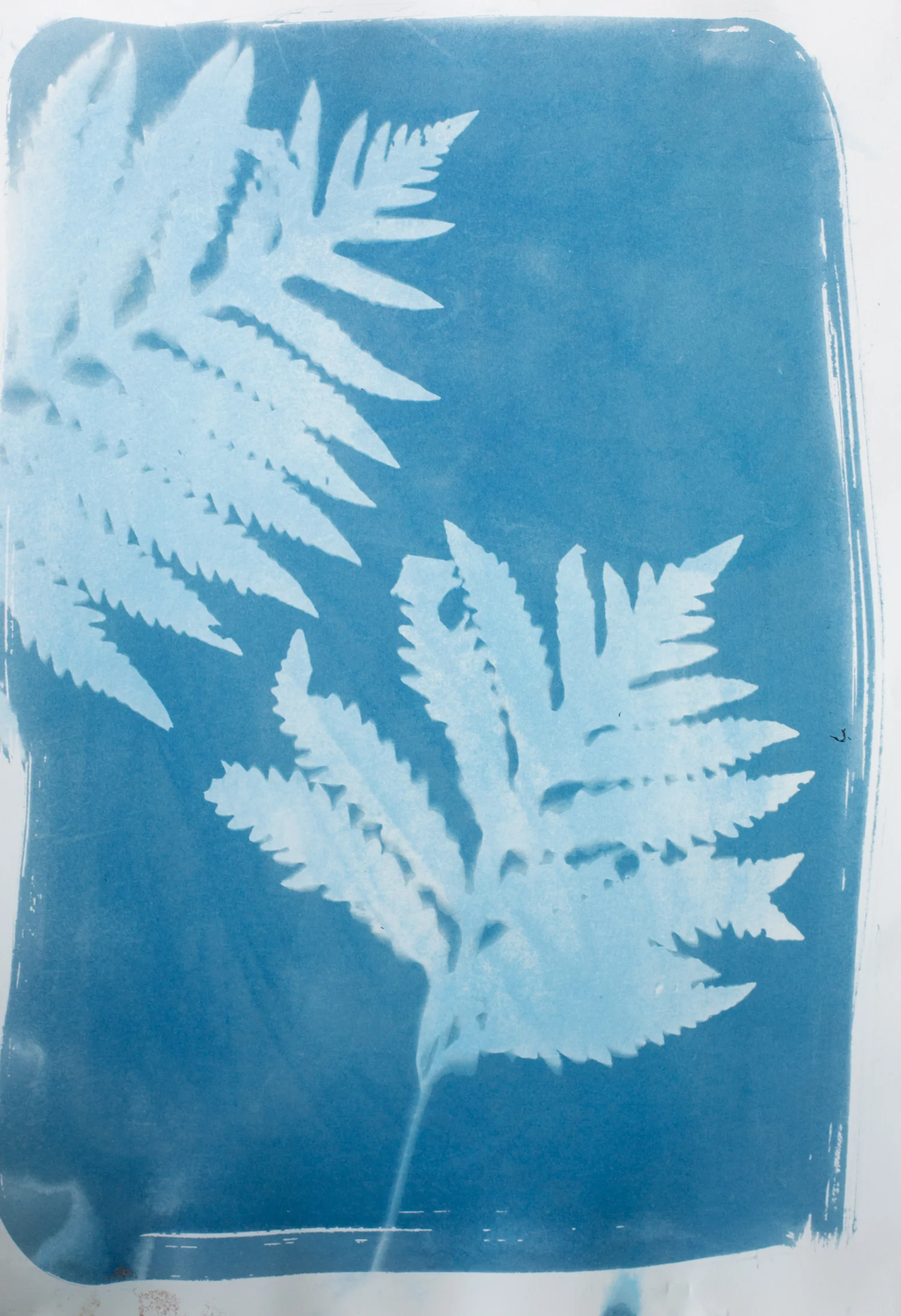 light drawings_rinne allen-201507099335.jpg