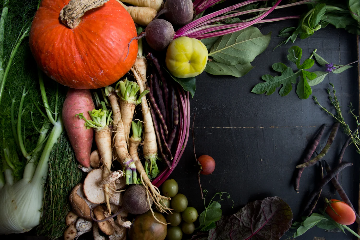 the broad fork_cover-0291.jpg
